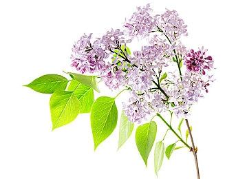 《异度神剑3》8分钟介绍视频公布 7月29日正式发售